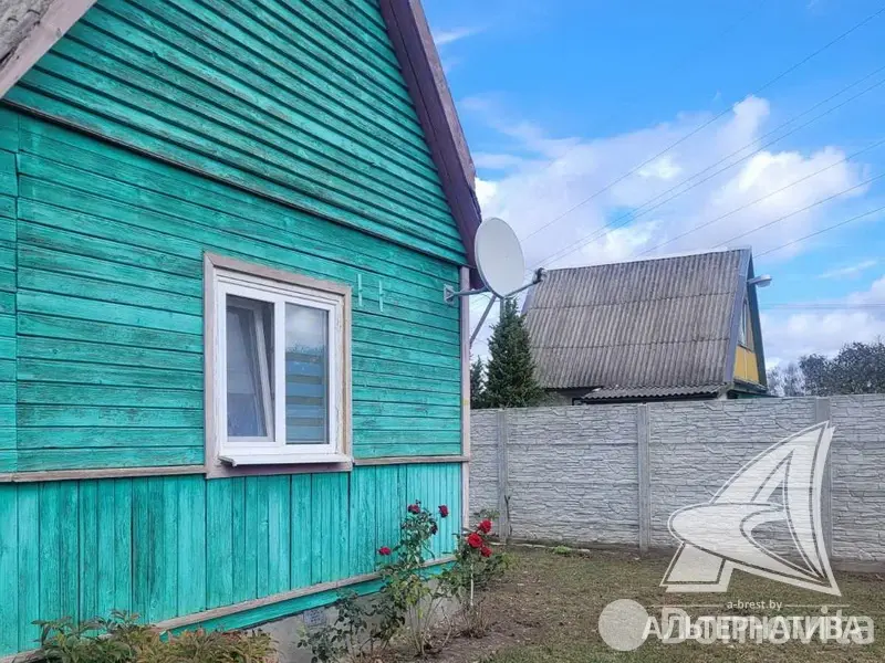дача, Суница-80, 