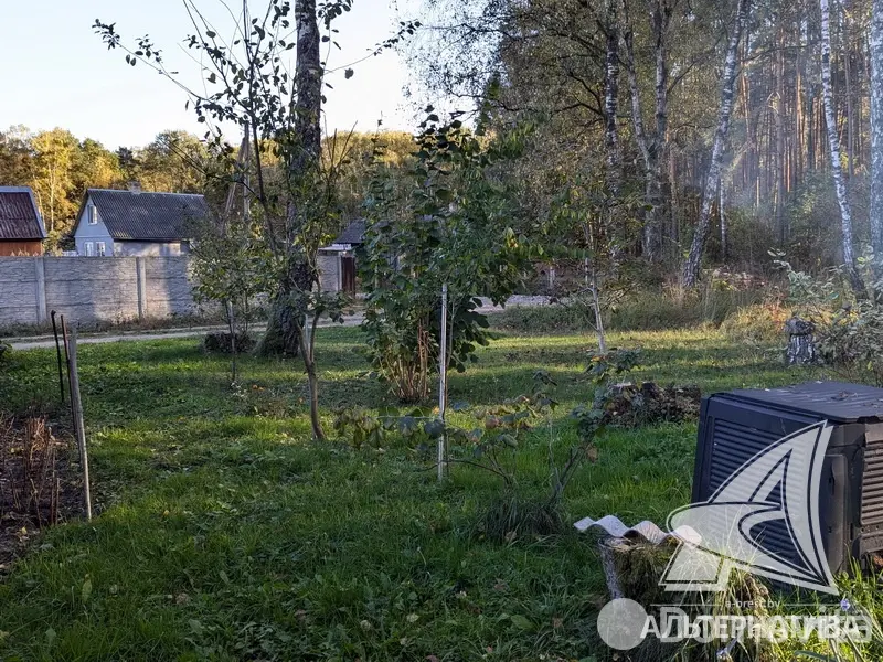 Продажа 2-этажной дачи в Ремонтник-2008 Брестская область, 40000USD, код 181651 - фото 19