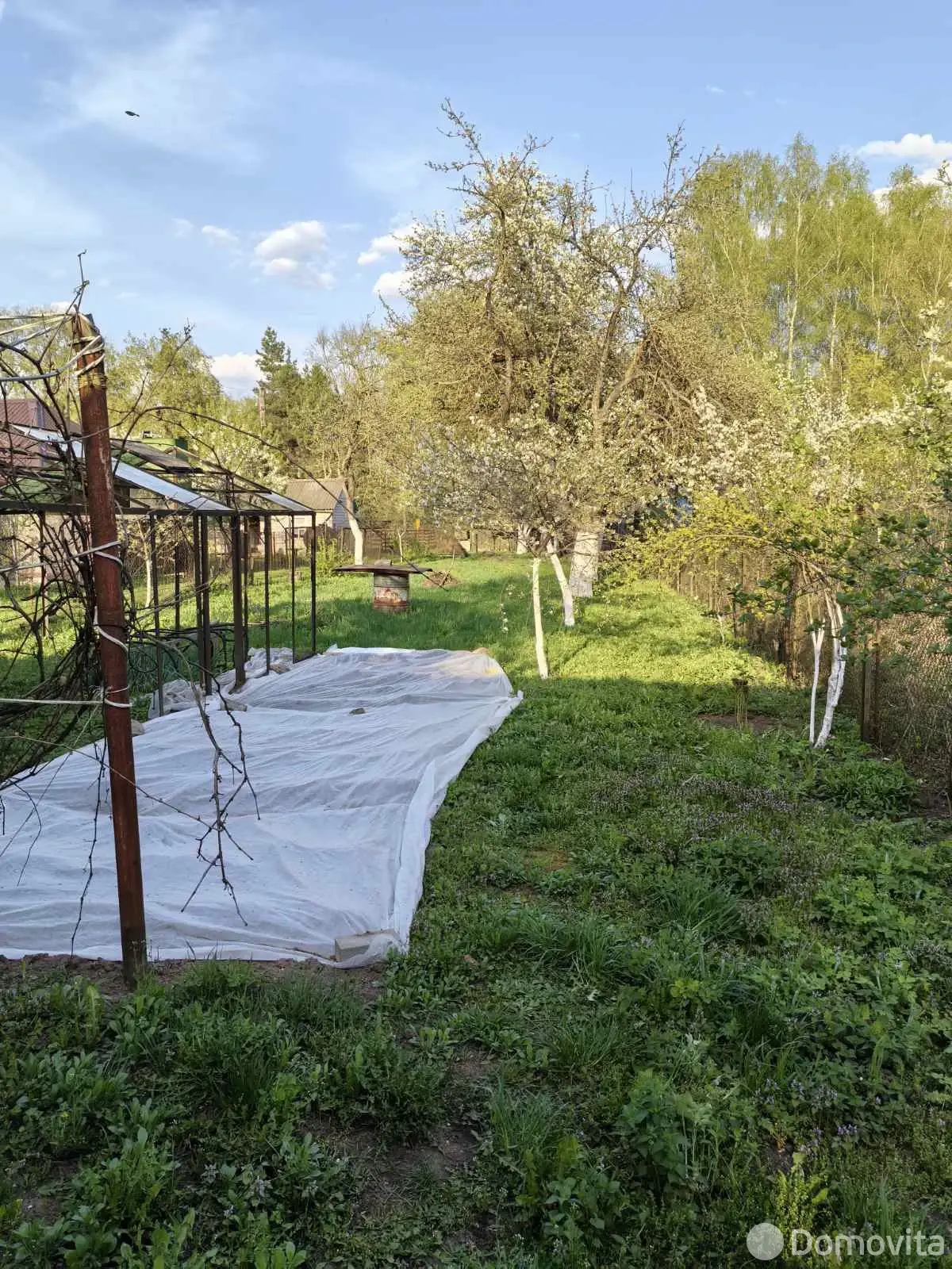 дача, Лида, ул. Черничная