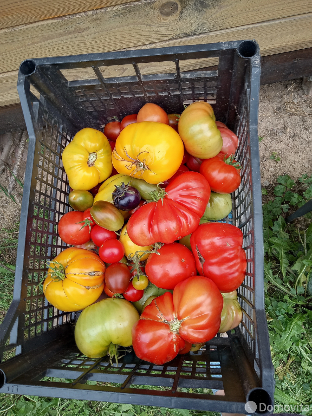 Купить 1-этажную дачу в Олехновичах Минская область, 9369USD, код 182294 - фото 12