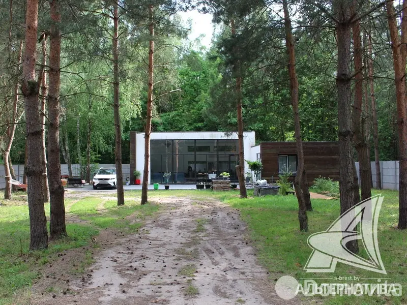дача, Амарилис-92, 