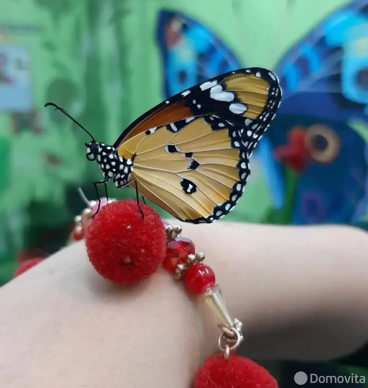 Купить помещение под сферу услуг в Минске, ул. Кирилла Туровского, д. 16 - фото 33