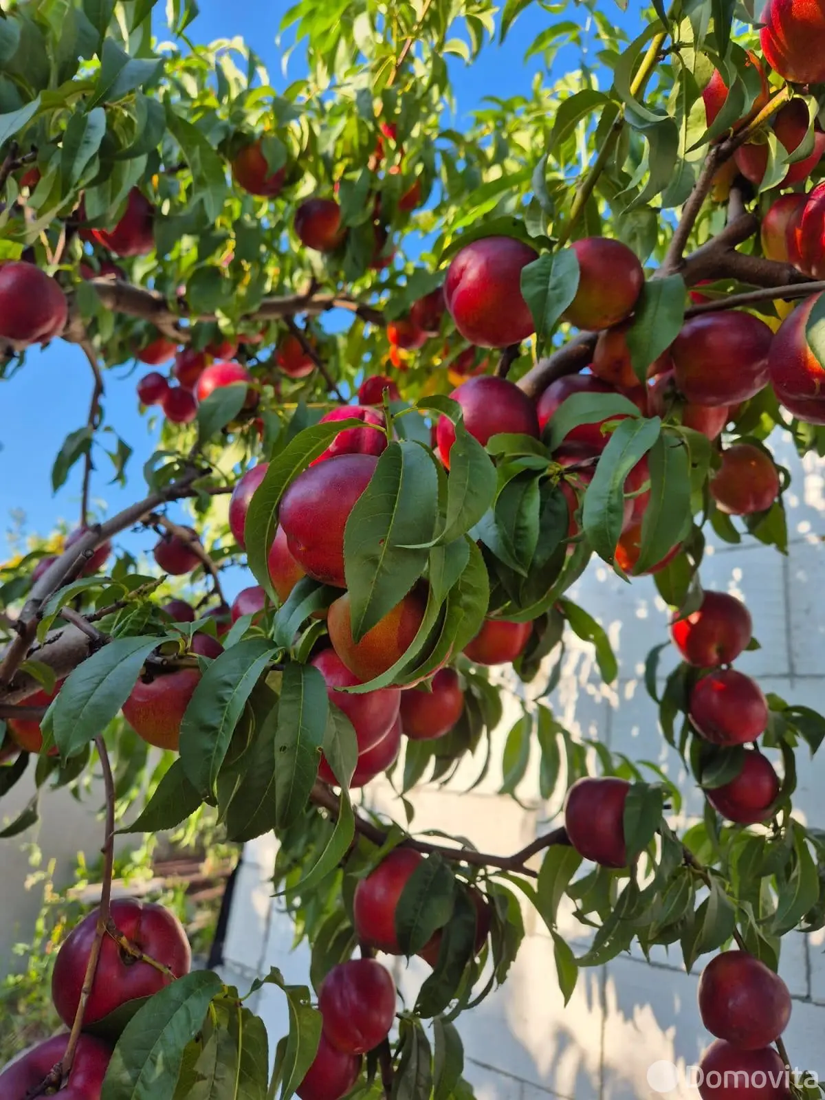 продажа коттеджа, Заполье, ул. Каштановая