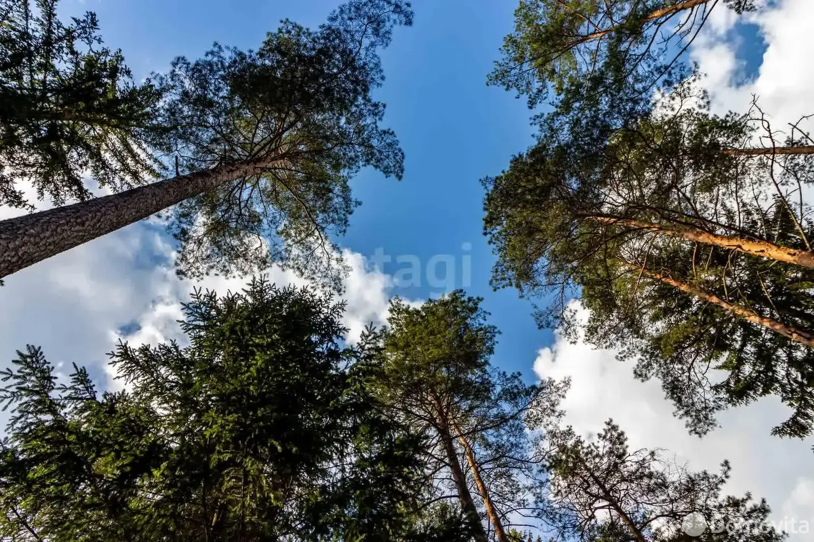 Купить помещение под сферу услуг в Ракове, ул. Боровая - фото 11