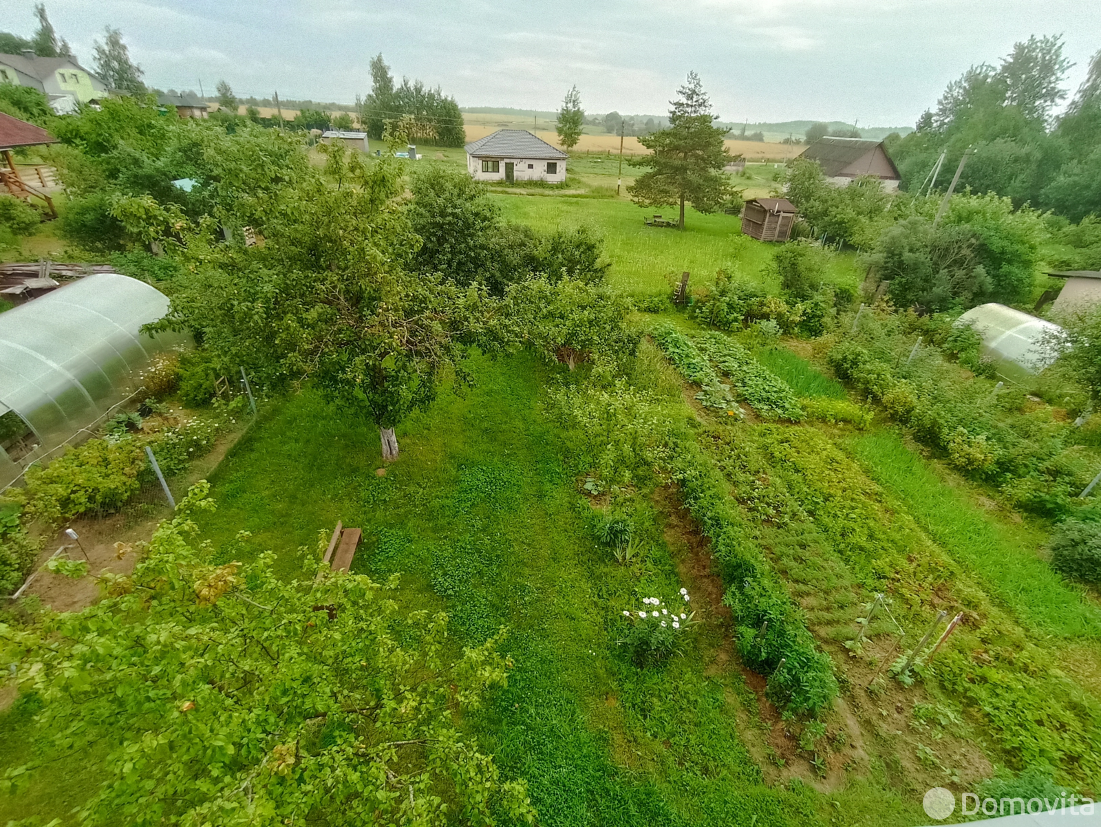 дача, Горошки,