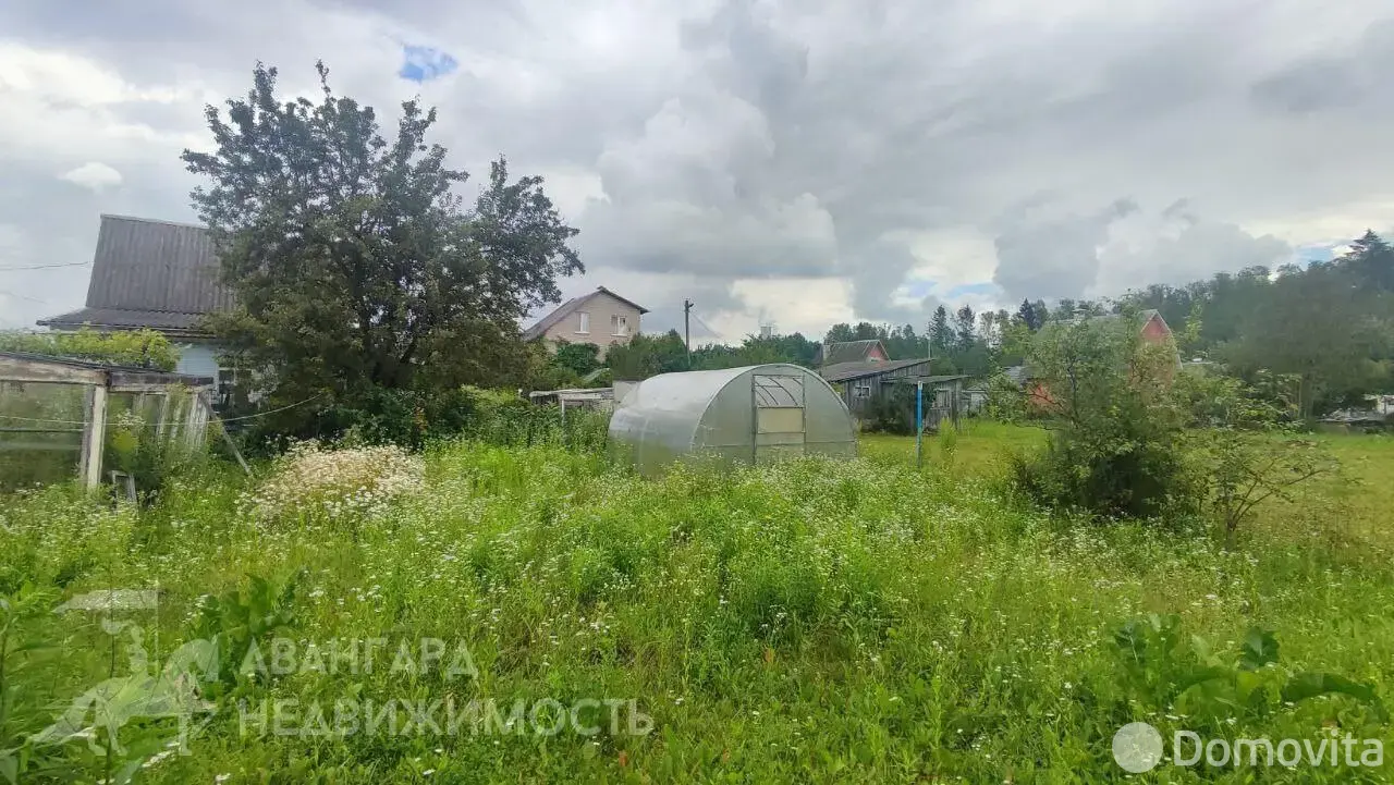 дача, Лесное-Белмедпрепараты, 