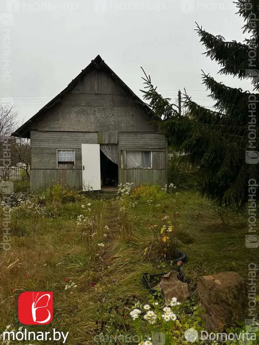 дача, Лесное-90 , 