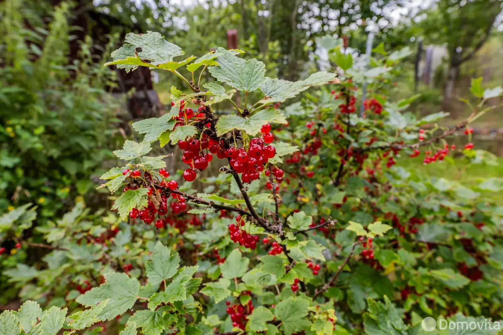 Купить 2-этажную дачу в Атлант-4 Минская область, 19900USD, код 183647 - фото 26