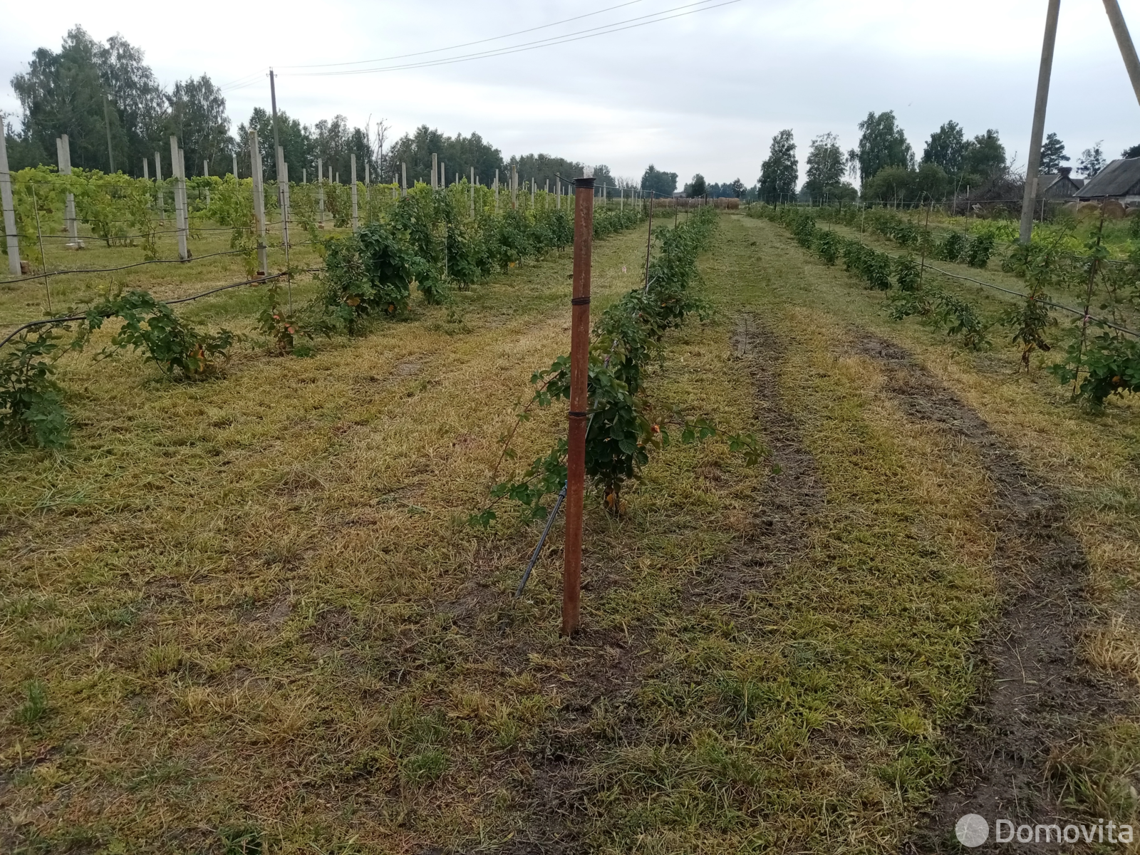 Стоимость продажи коттеджа, Ляховцы, ул. Комсомольская, д. 56
