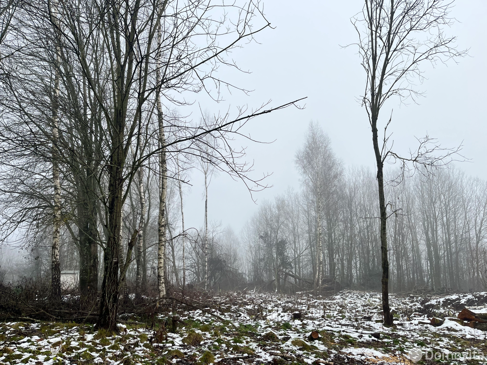 Цена продажи участка, Богданово, 