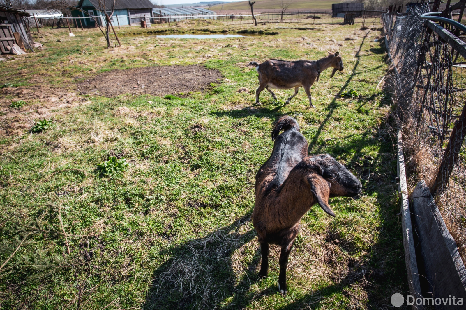 участок, Казеково, ул. Центральная 