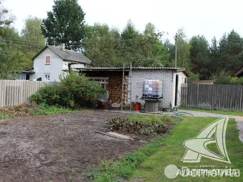 Купить 1-этажную дачу в Экран-83 Брестская область, 52000USD, код 180254 - фото 23
