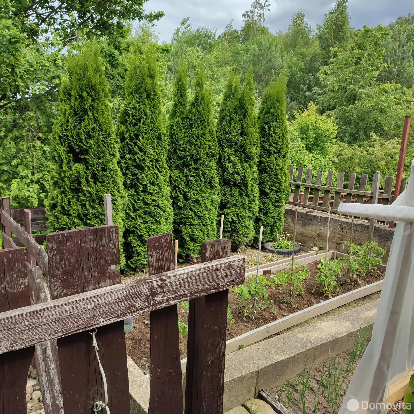 Продажа 2-этажной дачи в Факел Воложинский район Минская область, 30000USD, код 184196 - фото 19