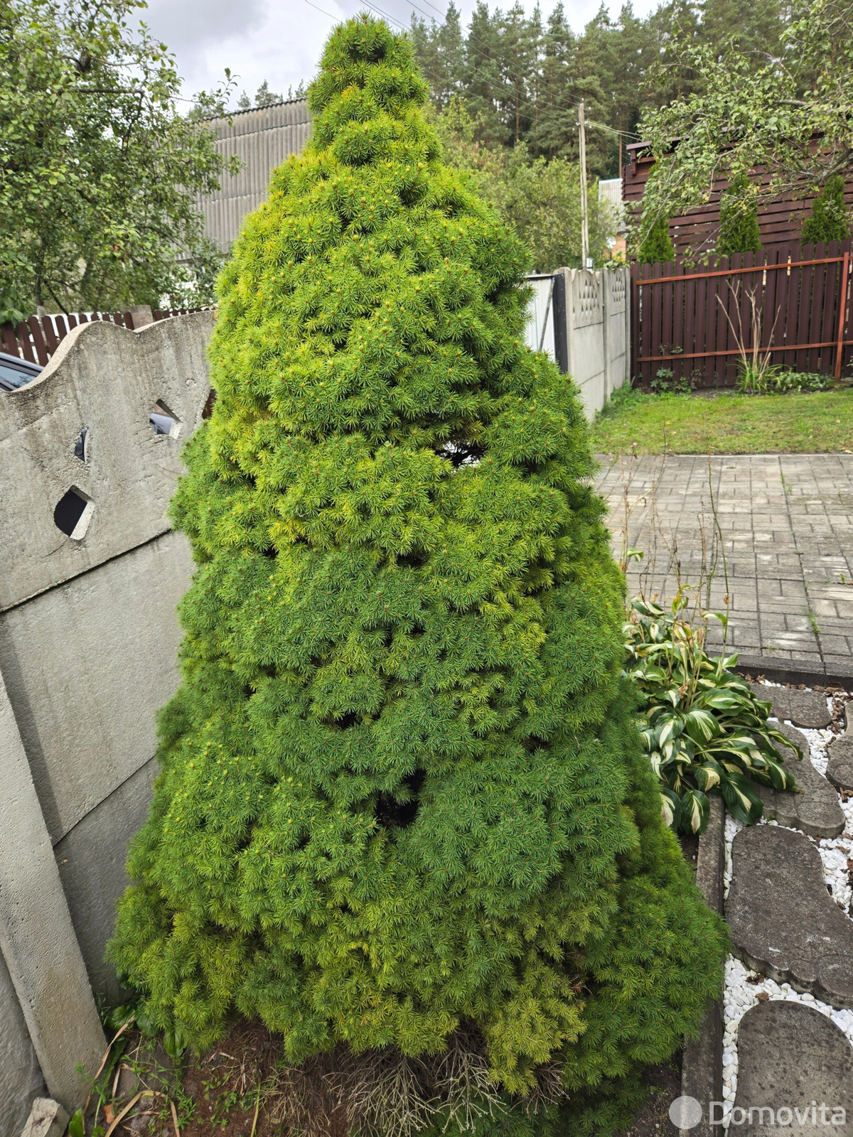 Продажа 1-этажной дачи в Ясно солнце Пуховичский район Минская область, 8999USD, код 185020 - фото 20