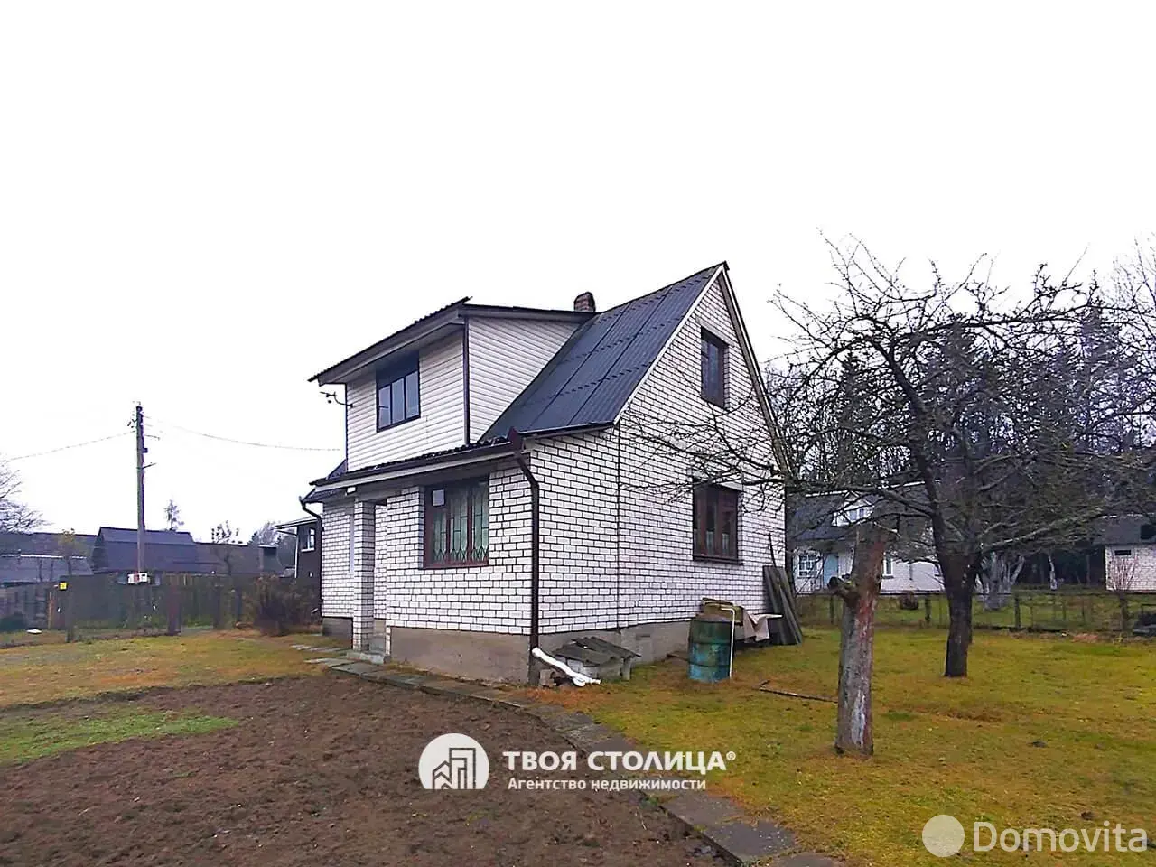 дача, Репортер,