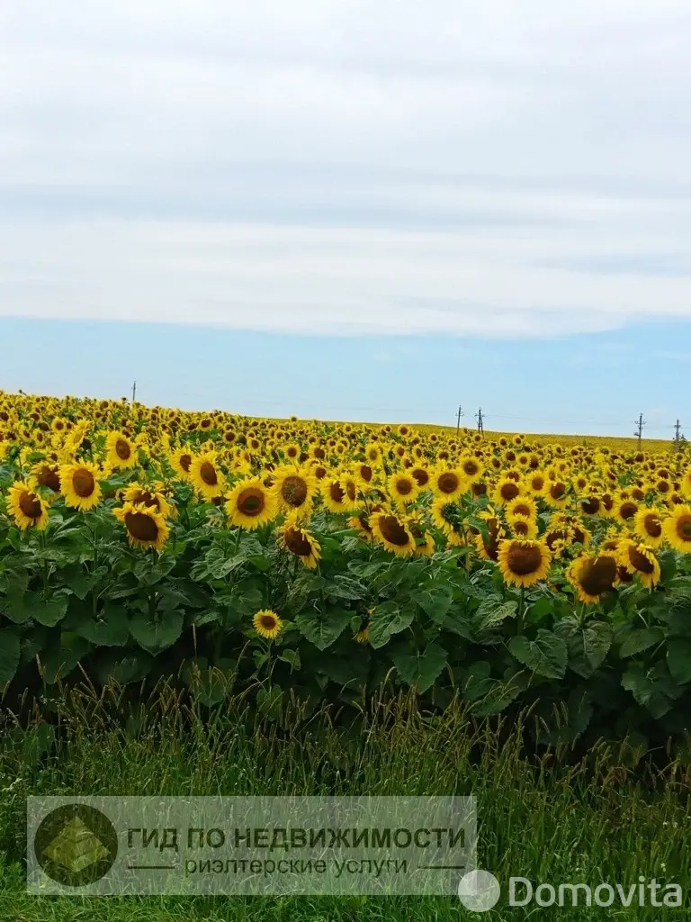дача, Каролино, 