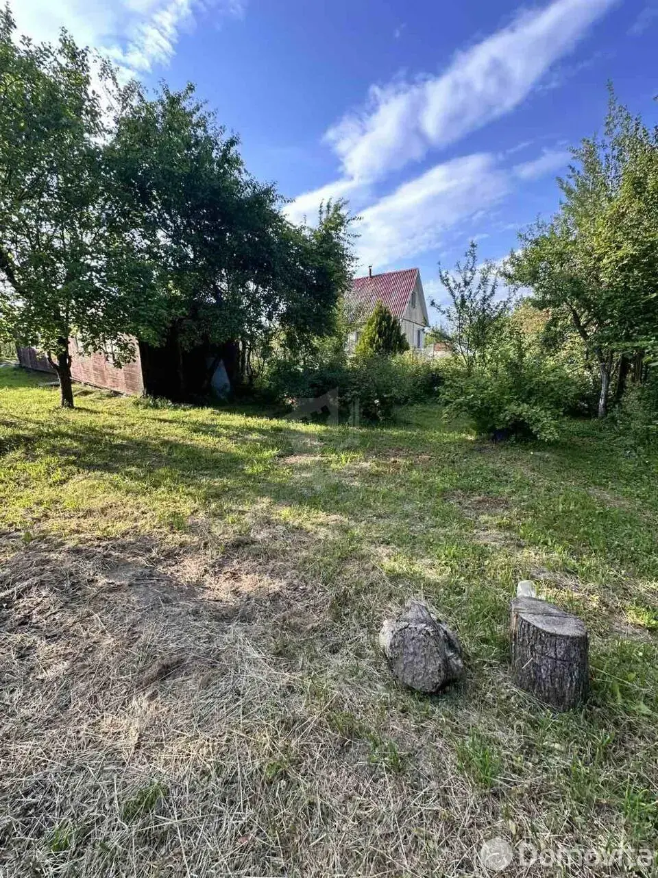 участок, Полевая ромашка, 