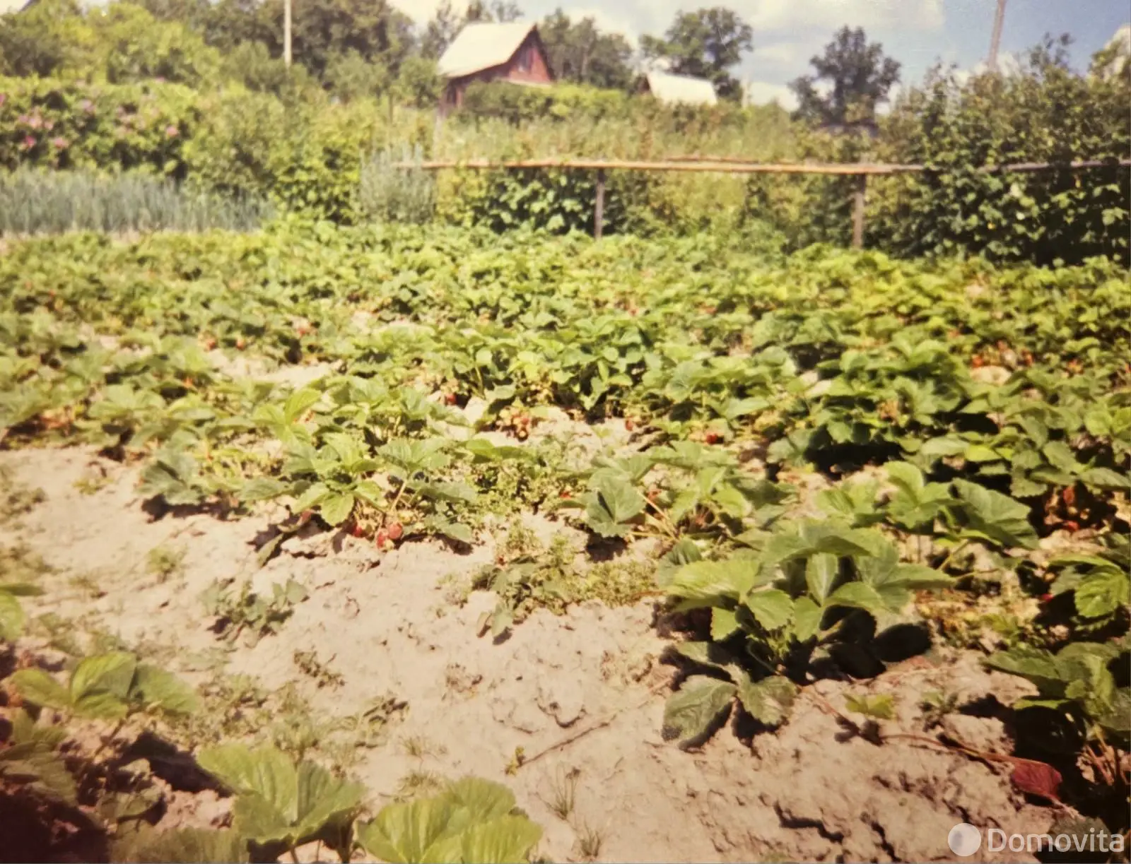 дача, Лесная полянка, 