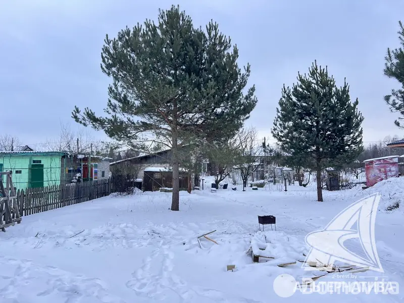 Купить 1-этажную дачу в Бресте Брестская область, 84000USD, код 184835 - фото 20