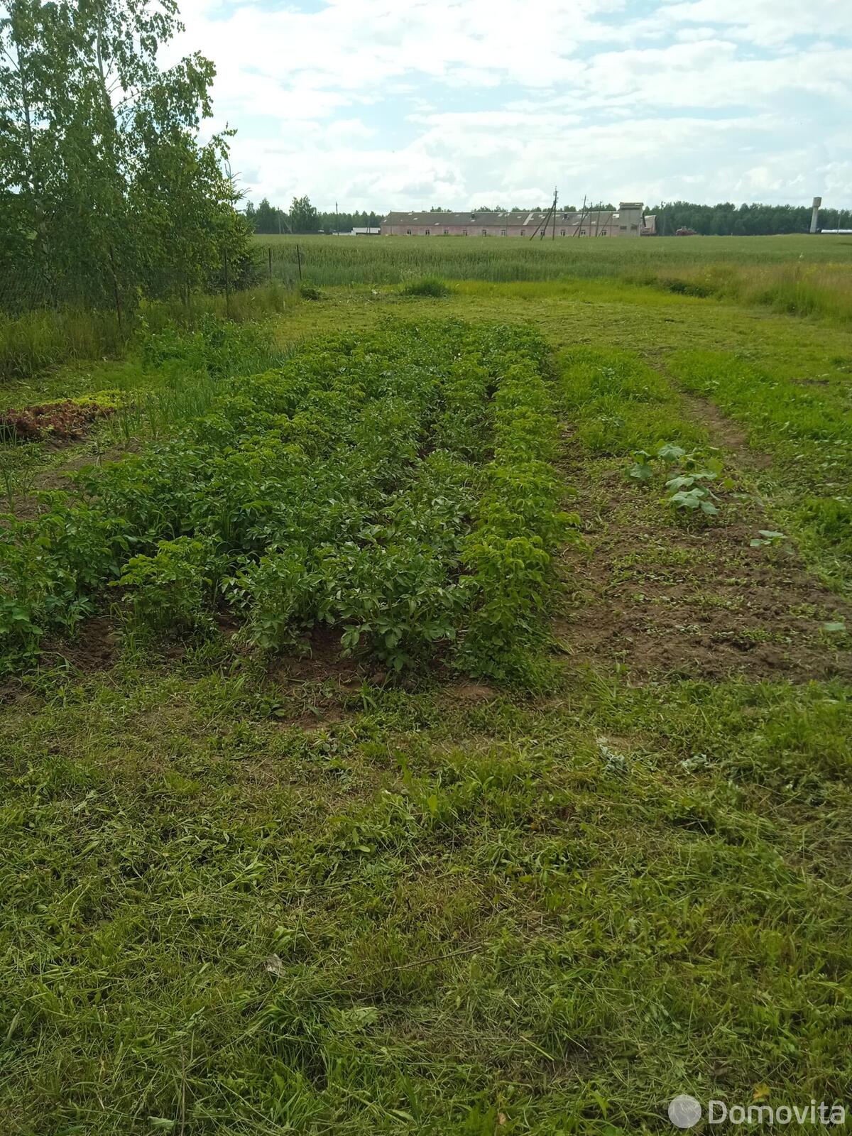 участок, Кукшевичи, 