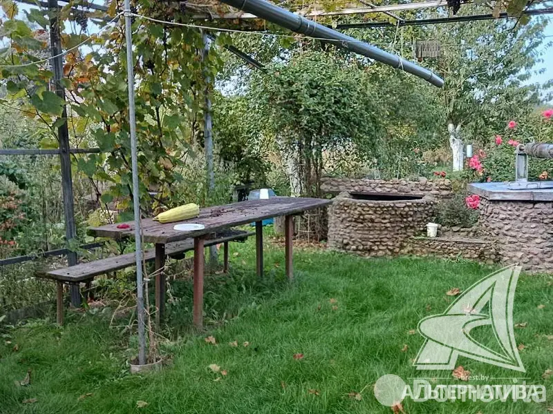 Купить 1-этажную дачу в Тепличка Брестская область, 10500USD, код 184261 - фото 12