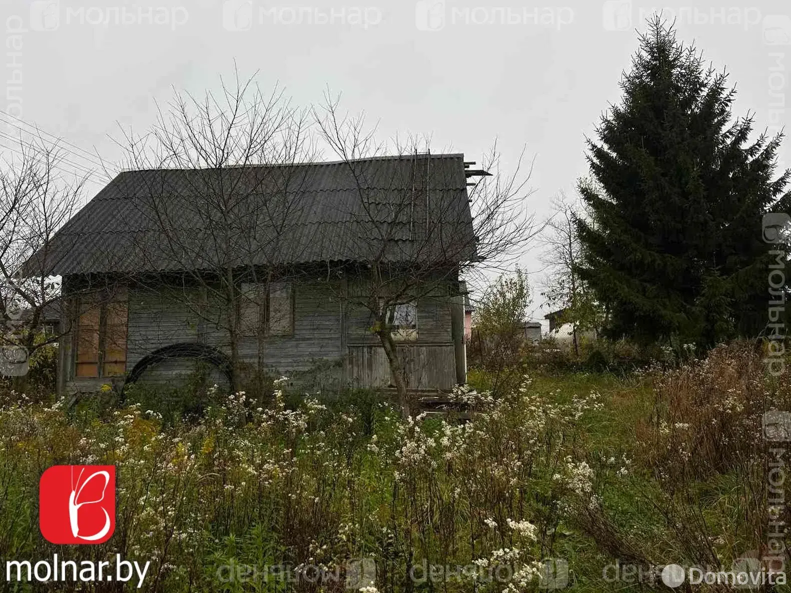 дача, Лесное-90 , 