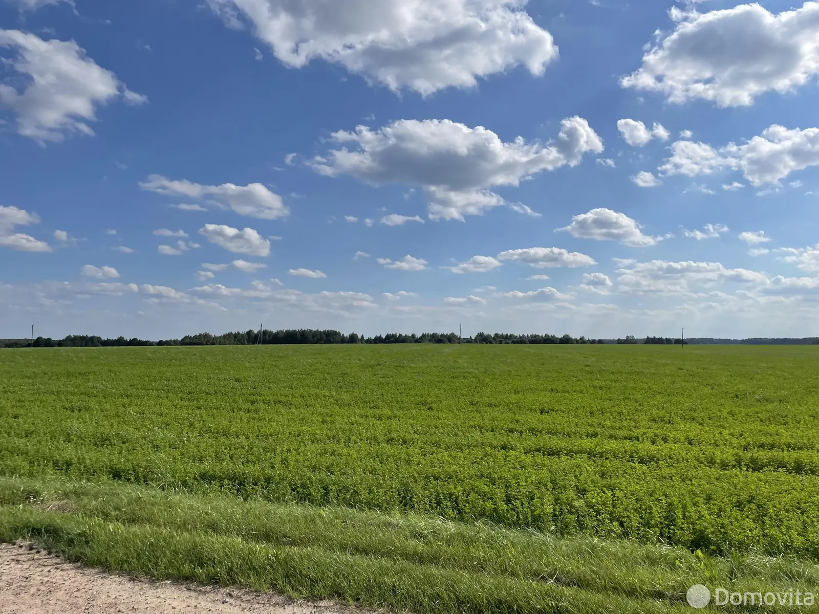 Купить земельный участок, 28 соток, Тесновая 2, Минская область, 11000USD, код 570810 - фото 17