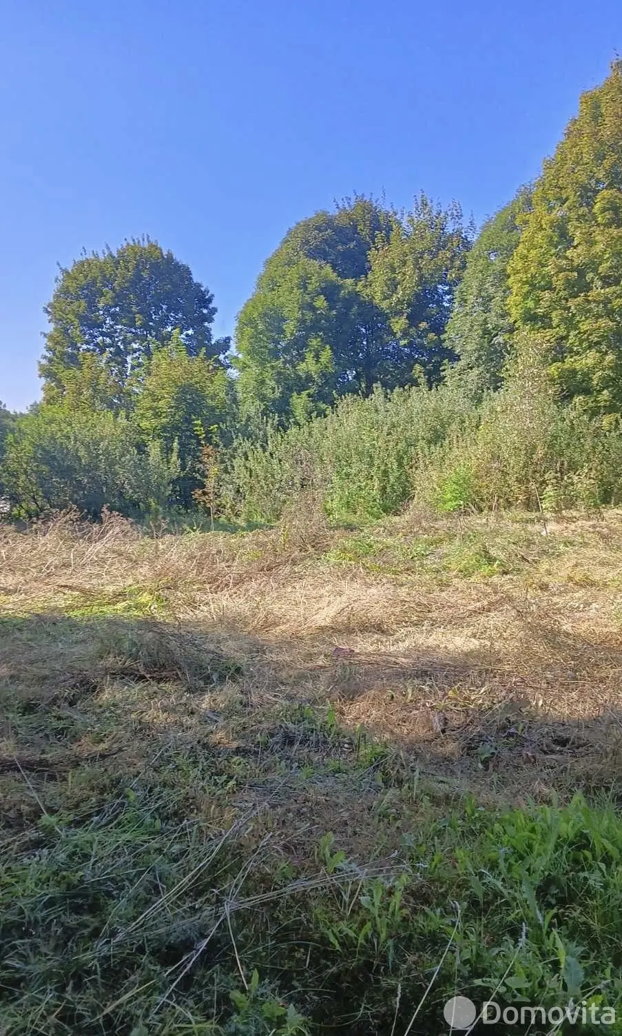 участок, Падеричи, ул. Центральная, стоимость продажи 11 635 р.