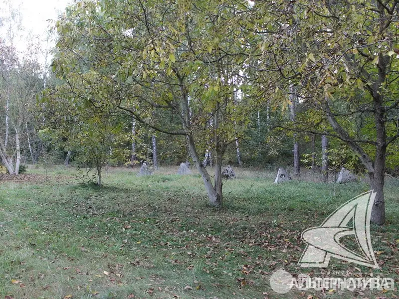 дом, Новые Лыщицы, , стоимость продажи 258 156 р.