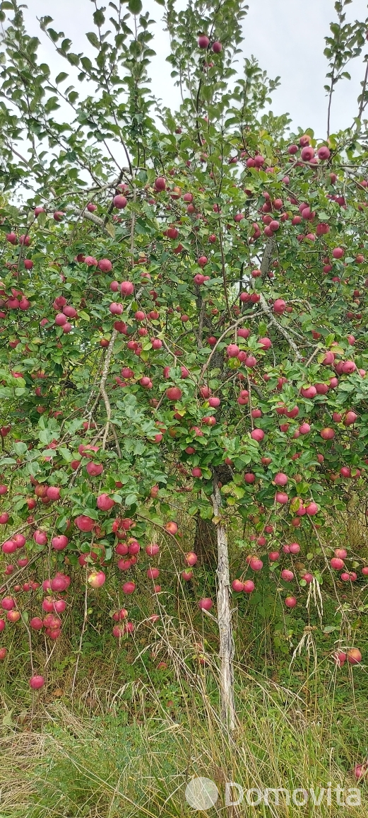 продажа коттеджа, Завидичи,