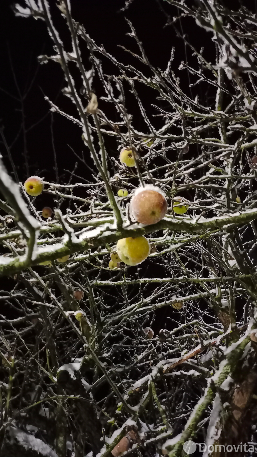 Продажа 2-этажной дачи в Подсадье Минская область, 35000USD, код 184928 - фото 36