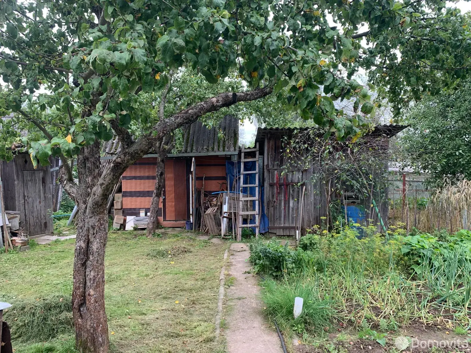 дача, СЯБРЫ-83, 