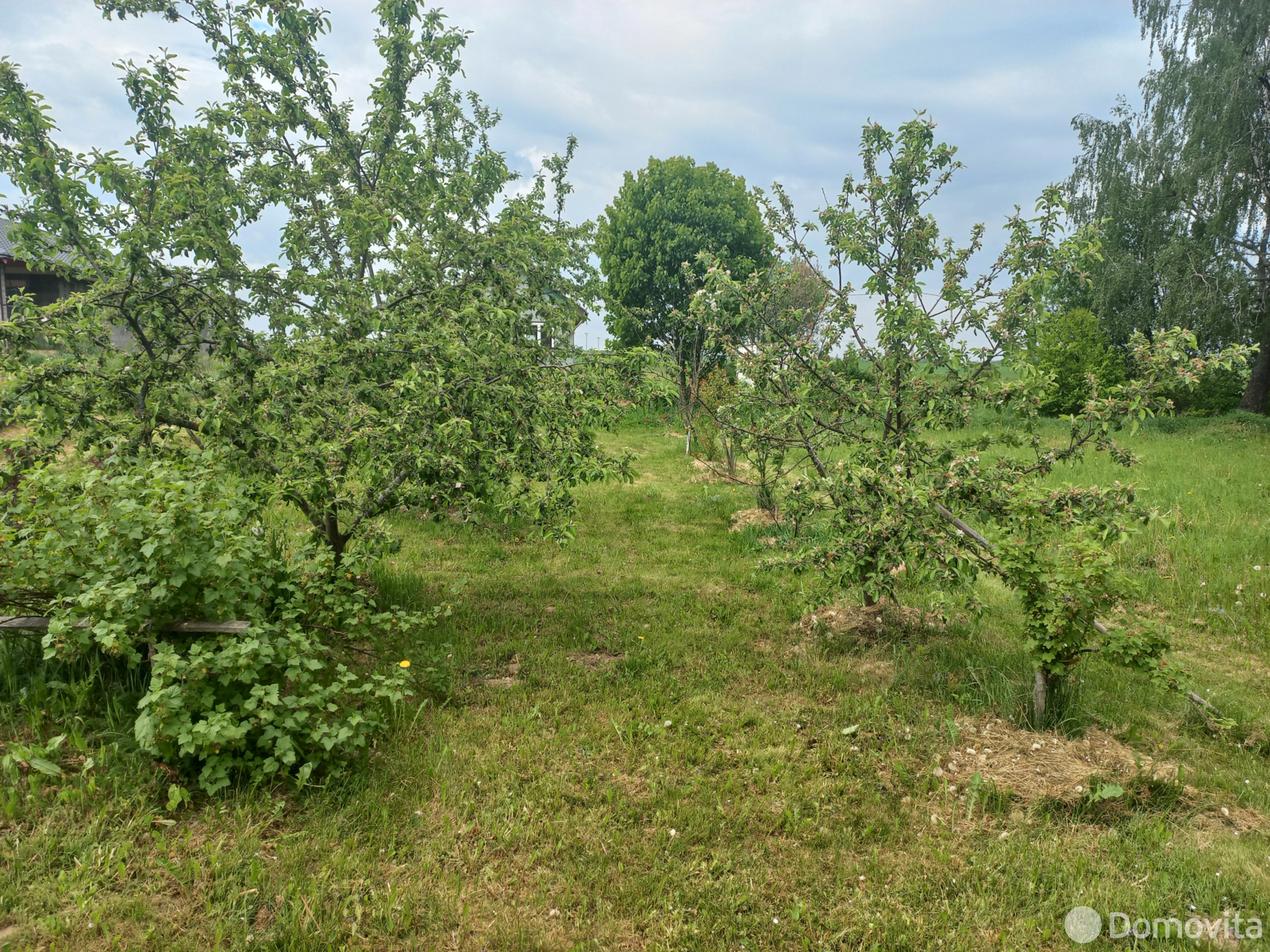 участок, Рыжики, ул. Центральная