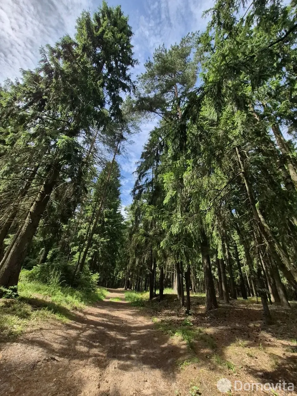 Продажа 2-этажной дачи в Витебске Витебская область, 39000BYN, код 186562 - фото 20