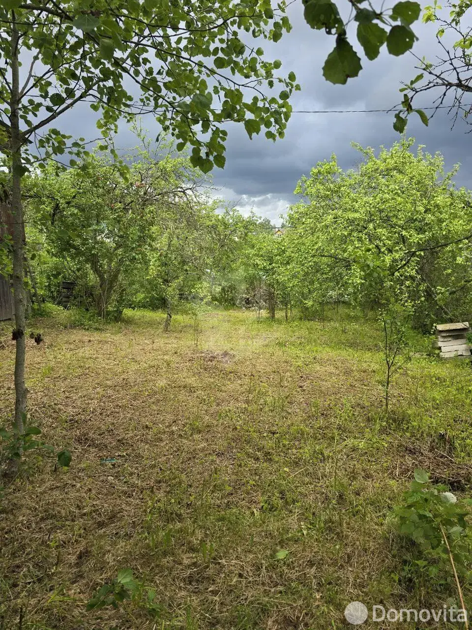 участок, Янтарь, 