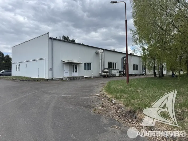 объект сферы услуг, Томашовка, 