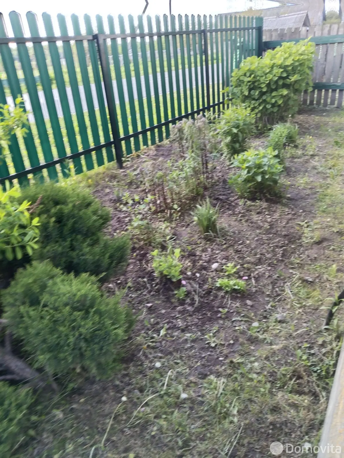 дача, Красный Дар, 