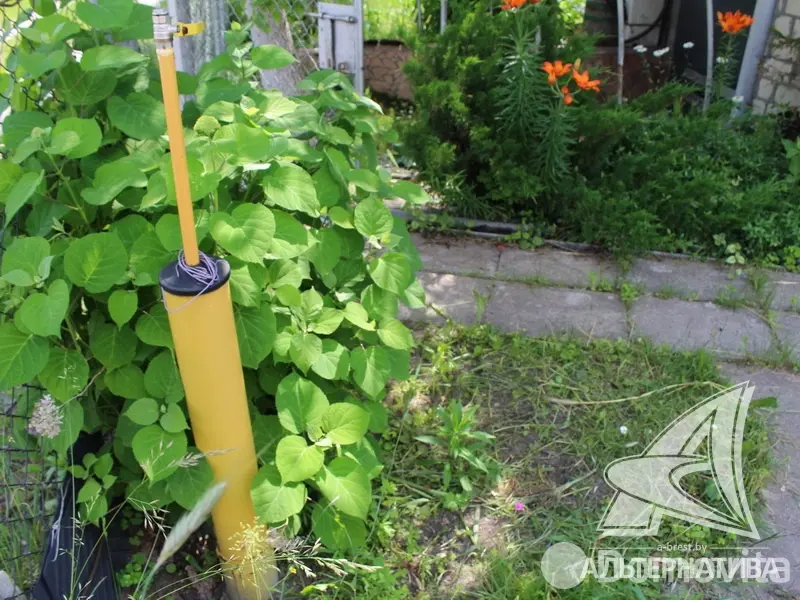 Продажа 2-этажной дачи в Зеленый бор Брестского района Брестская область, 45000USD, код 162193 - фото 27