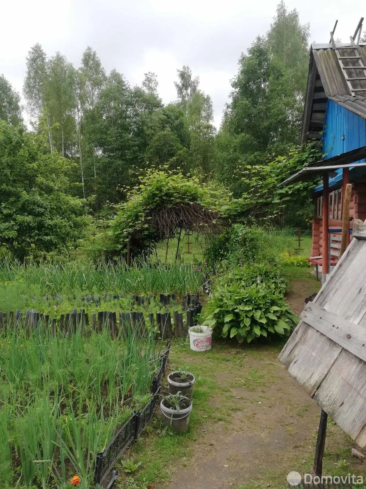 дача, Подозерцы, 