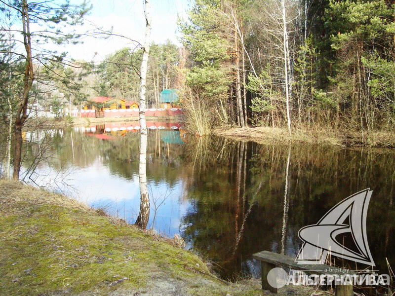 Продажа 2-этажной дачи в Лира-5 Брестская область, 12500USD, код 178113 - фото 12