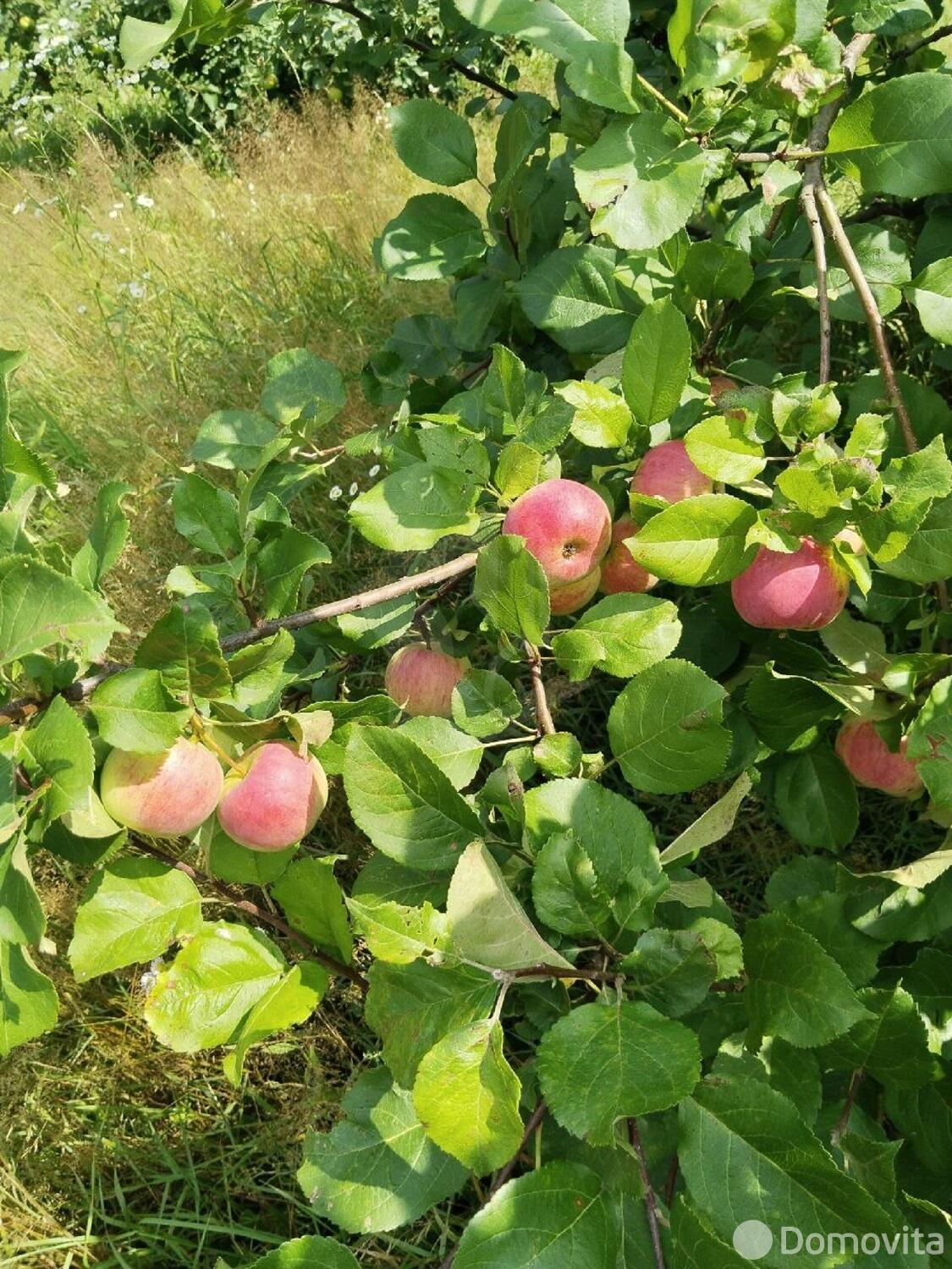 Цена продажи участка, АЛЕСЯ, 