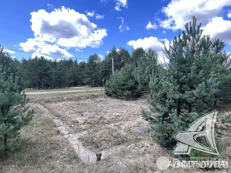 коттедж, Подлесье-Каменецкое, 
