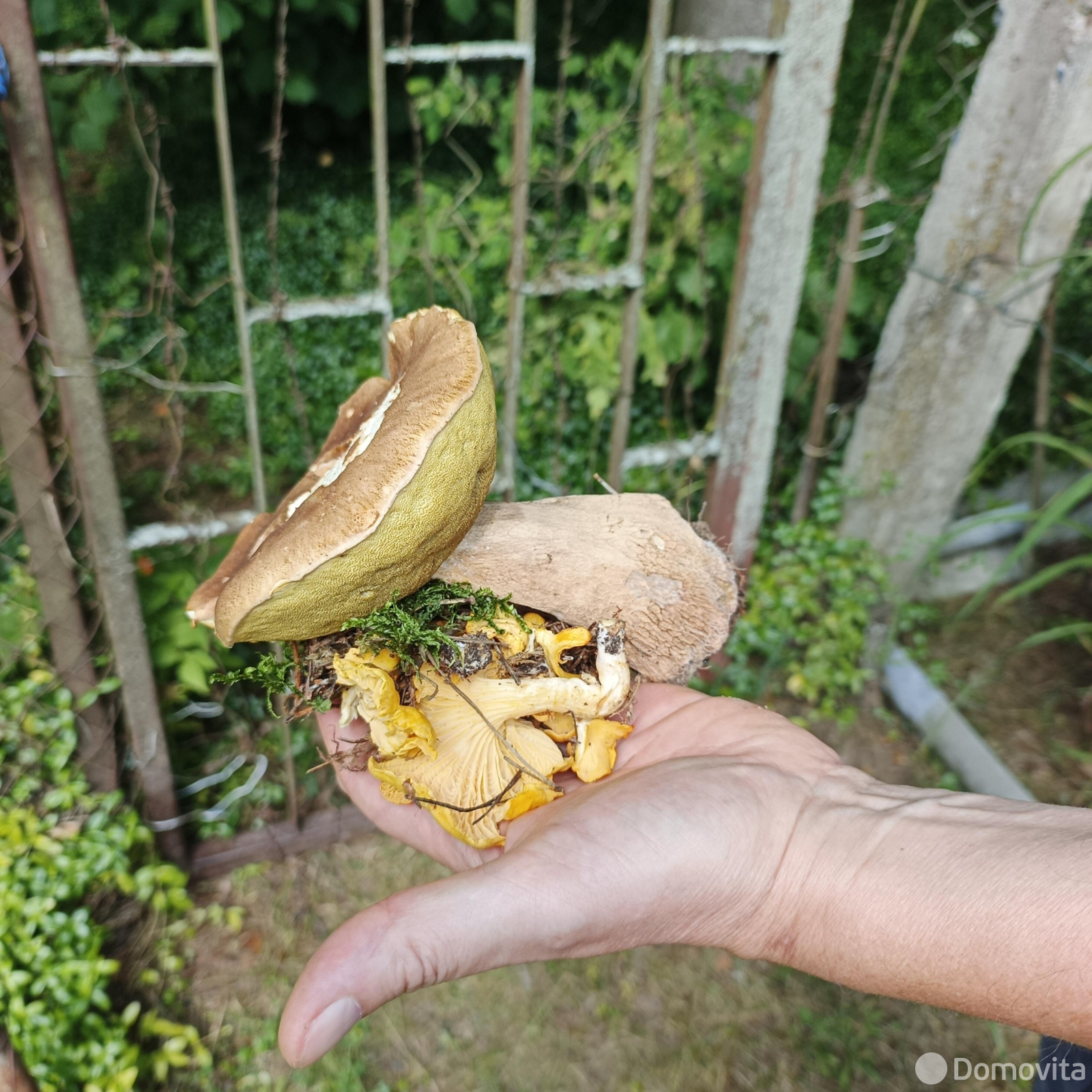 купить дачу, ГОРИЗОНТ-82, д. 287