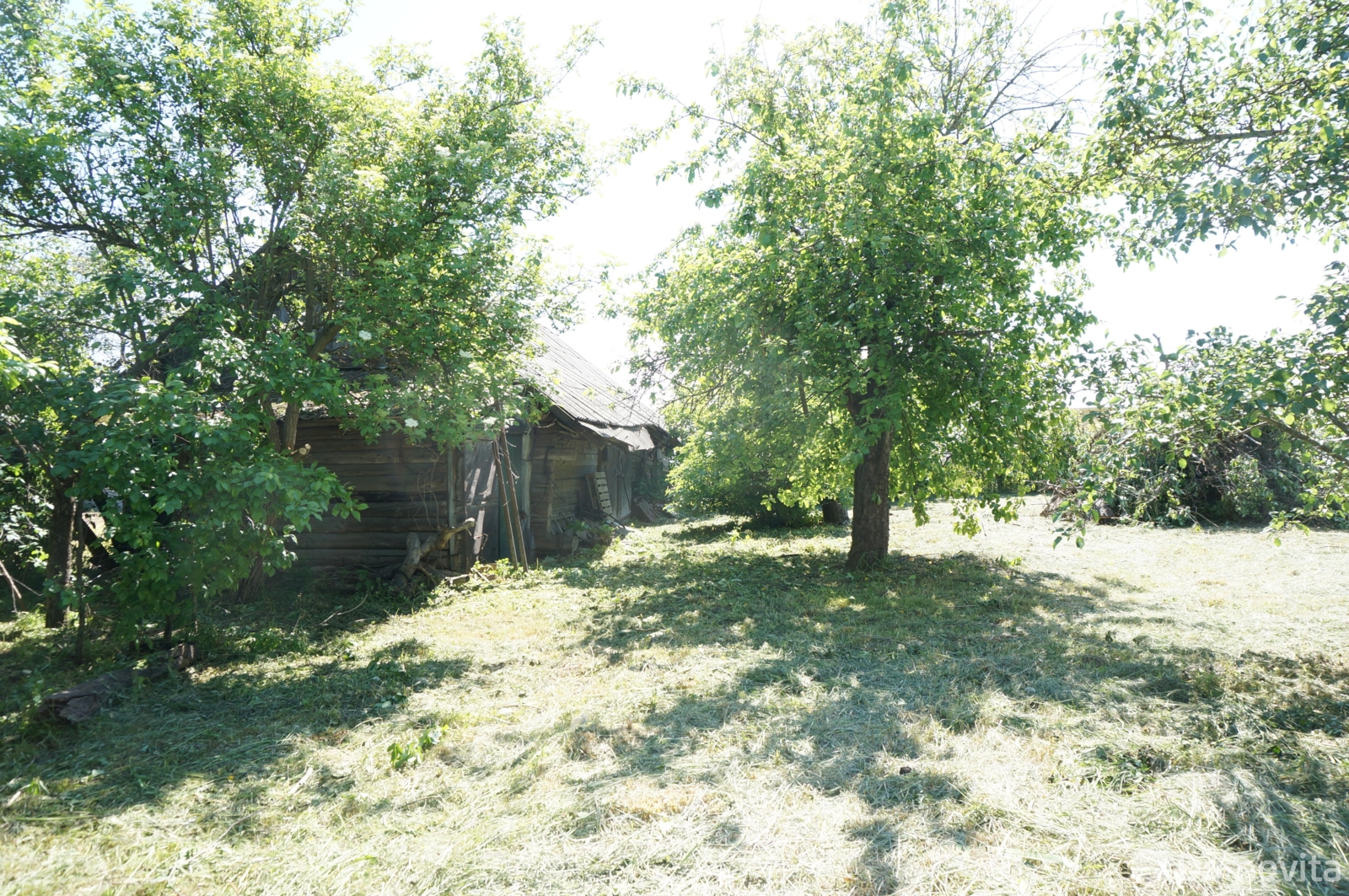 дом, Синило, ул. Центральная, д. 70 