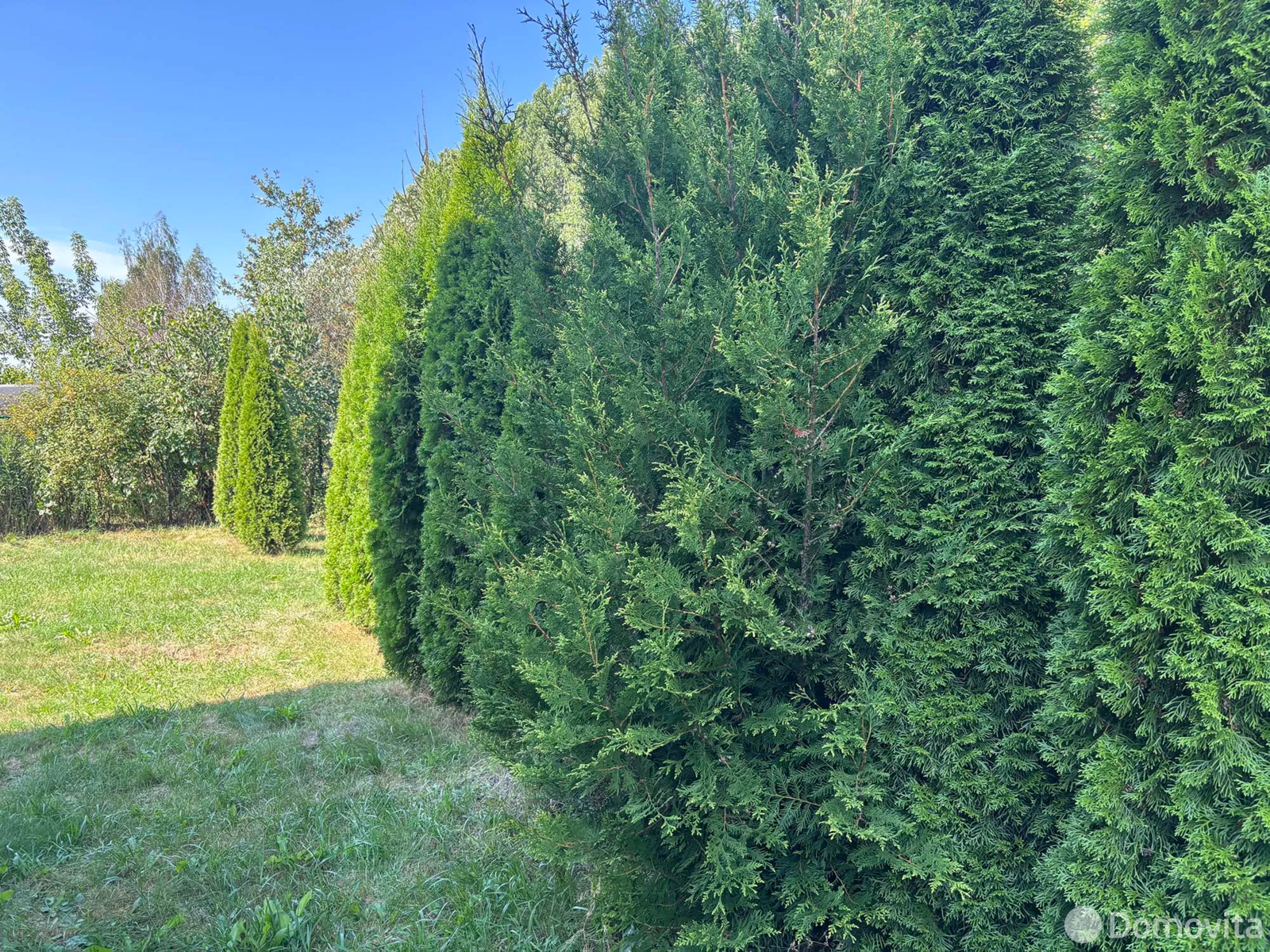 Продажа 2-этажной дачи в Полюшко Минская область, 15000USD, код 184016 - фото 15