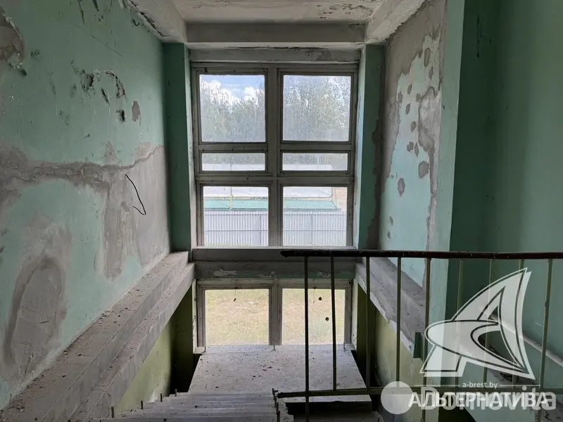 объект сферы услуг, Борисово, 