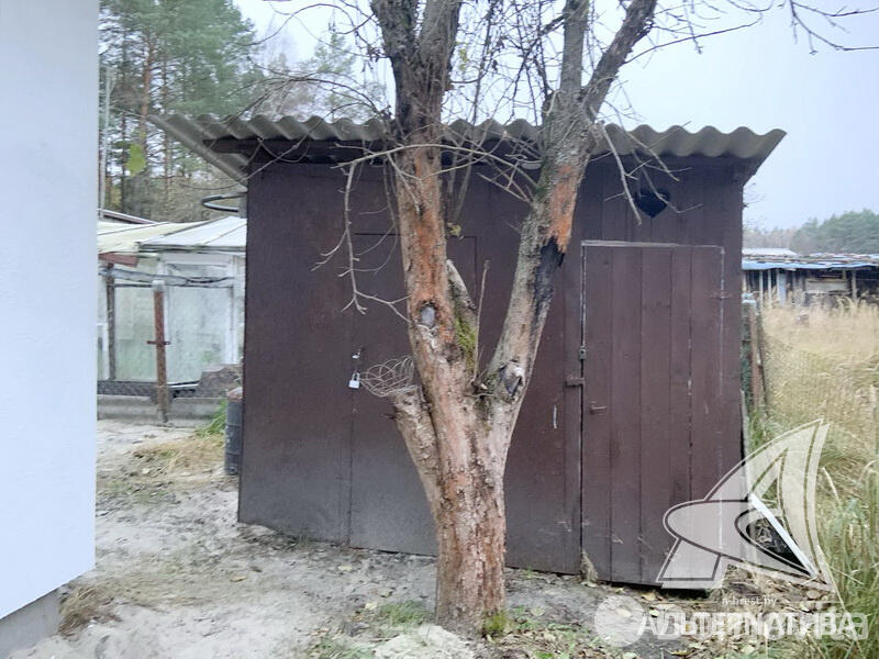 Купить 1-этажную дачу в Журавинка Брестская область, 29900USD, код 180636 - фото 16