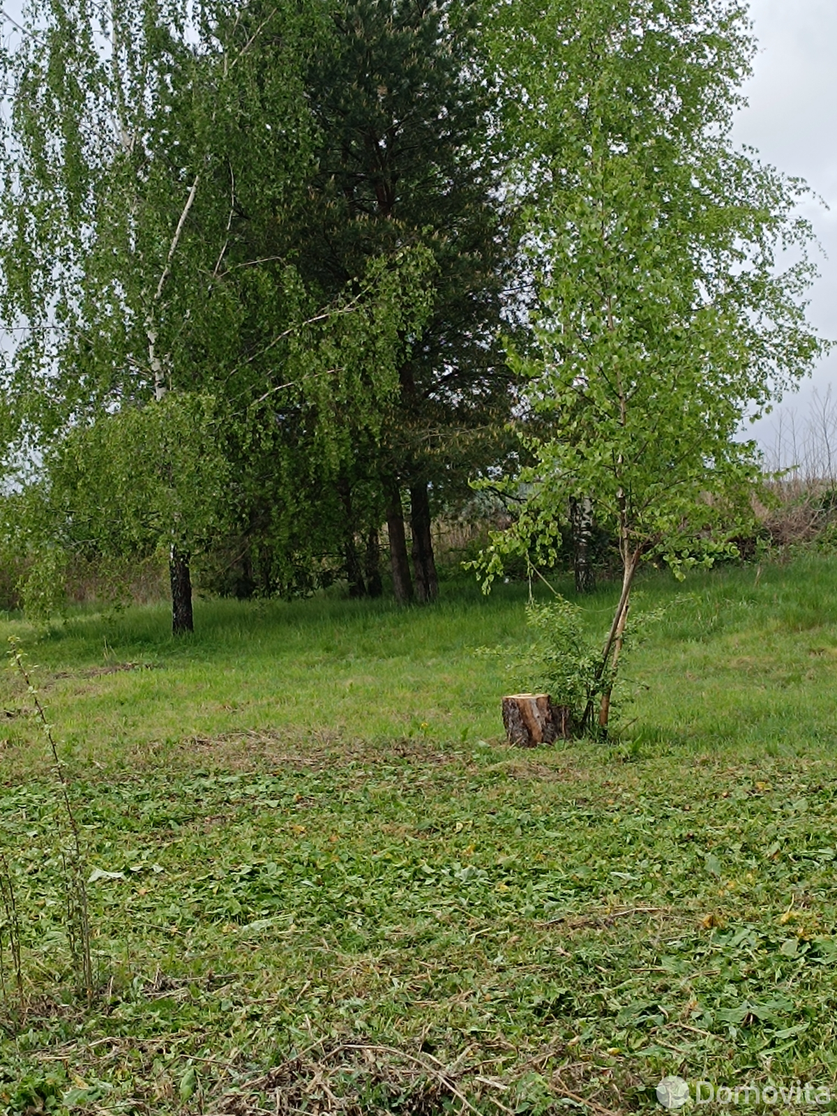 участок, Замостье, , стоимость продажи 20 335 р.
