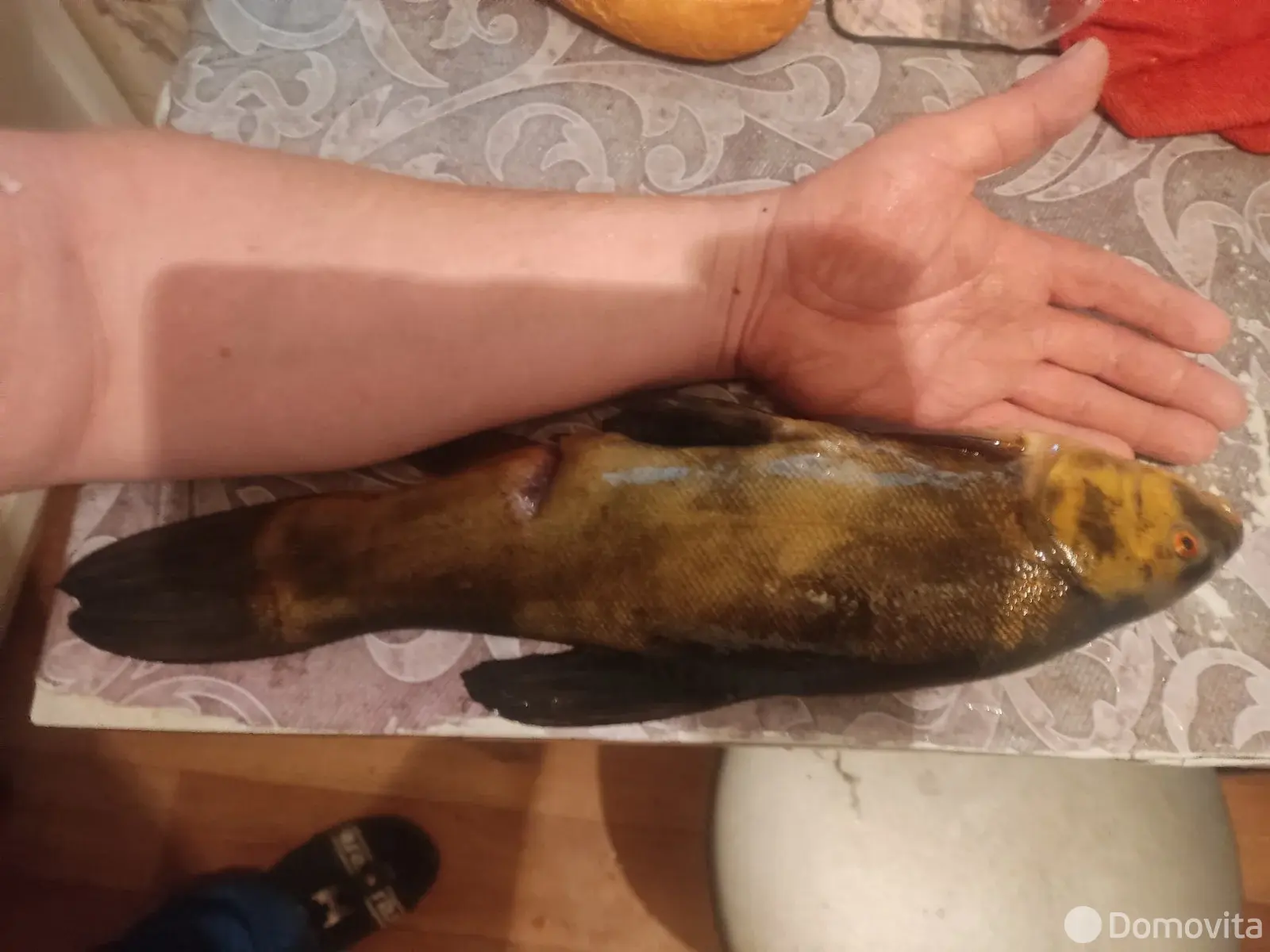 дача, Полочаны, ул. Советская, д. 157 без посредников