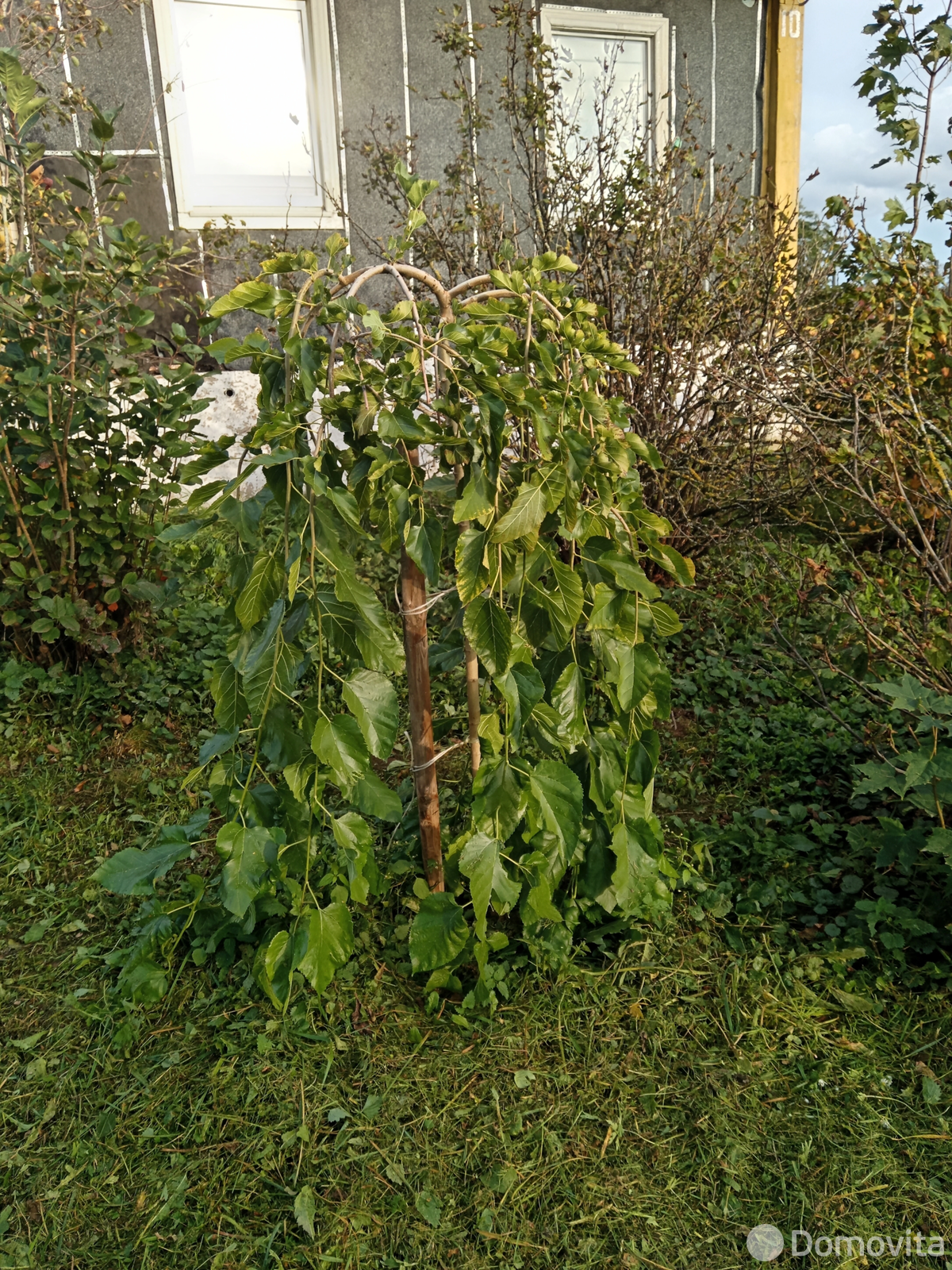 купить коттедж, Корабли, ул. Центральная, д. 10